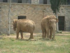 -石家庄市动物园