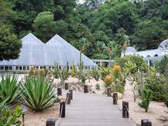 -深圳仙湖植物园