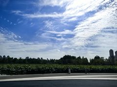 -武汉动物园