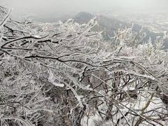 -紫金山山顶公园