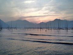 -北岐滩涂