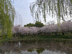-堤角公园
