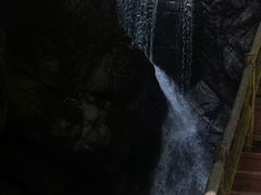 -牛背梁国家森林公园