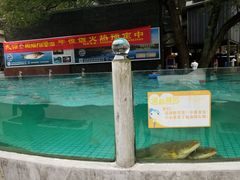 -天怡·鱼工厂(梅溪湖店)
