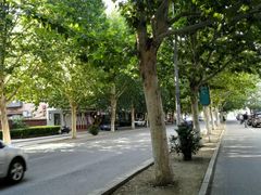 android_upload_pic-南馆公园