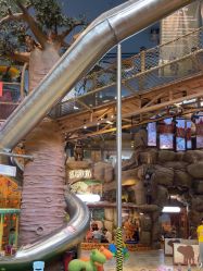 -卡通尼·Safari非洲探索乐园·生日会(金桥国际商业广场店)