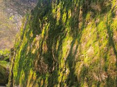 -秦岭终南山世界地质公园翠华山景区