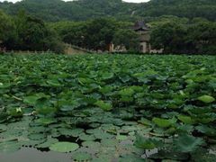 iphone_upload_pic-普陀山风景名胜区-法雨禅寺
