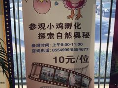 -兴芮温泉度假区