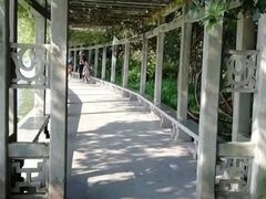 -西湖外事游船(花港观鱼码头)