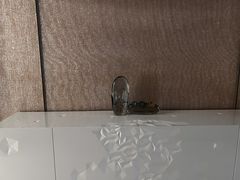 -广州奥园喜来登酒店