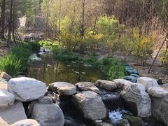 -白水寺森林公园
