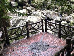 -龙苍沟森林公园