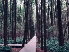 -同里国家湿地公园