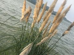 -西湖游船