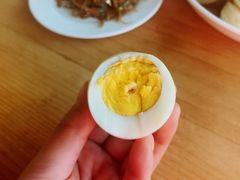 -欢乐松鼠谷