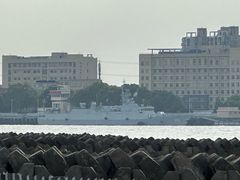 -上海滨江森林公园