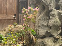 -小雅青年旅舍(平江路店)