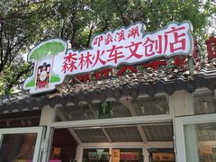 -合肥滨湖国家森林公园