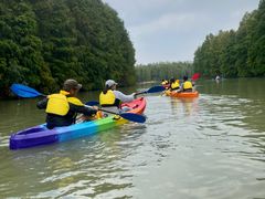 -上海海湾国家森林公园