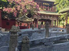 -报恩寺(平武县)