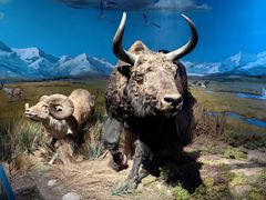 -武汉园博园(武汉自然博物馆)