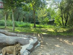 -北京野生动物园