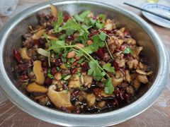 -食神又名厕所兔