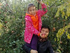 -万源龙顺度假庄园生态观光园