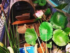 -坛宗剁椒鱼头(河西王府井店)