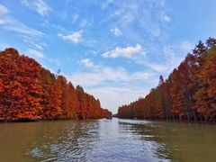 -上海海湾国家森林公园