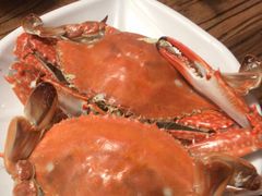 -和源祥·日照菜扛把子(万平口一店)