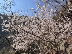 -北京鹫峰国家森林公园