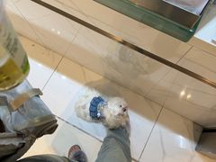 -福奈特洗衣洗鞋(杭州东站万象汇店)