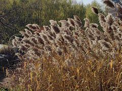 -浙江大学(紫金港校区)