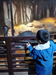 -酷嗒动物文化乐园(cutezoo西溪乐天城店)