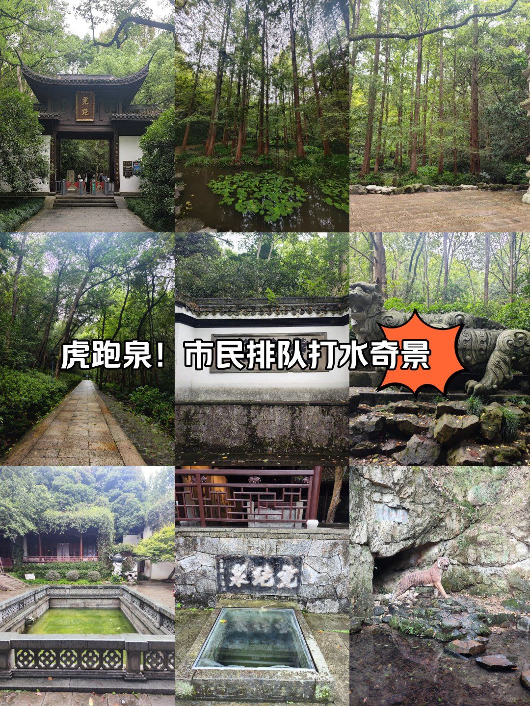 省杭州市西湖区虎跑路39号

9015【景点介绍】
虎跑公园,一