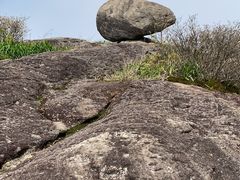 -东白山