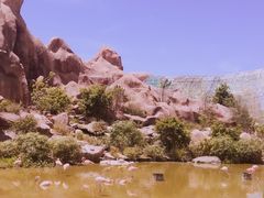 -芽庄珍珠岛游乐园