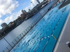 -麦考利夫人座椅