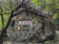 -阳台山自然风景区