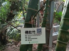 -呀路古热带植物园