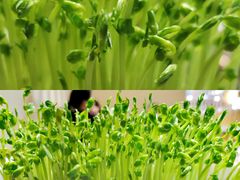 -鲜货俚·现切牛肉·野生菌原生态火锅(西城永捷生活广场店)