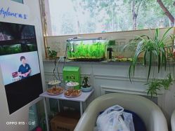 -小忠丽格医美