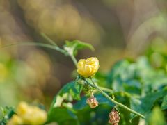 -养云安缦吧THE BAR