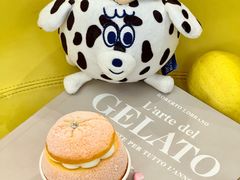 -CREAM STORY意大利手工冰淇淋&甜品(万象前海店)
