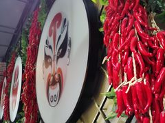 -雲蜀龙阁·金牌水煮鱼(方庄店)