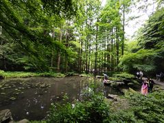 -虎跑公园