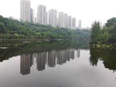 -重庆彩云湖湿地公园