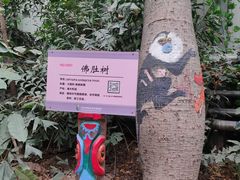 -呀路古热带植物园